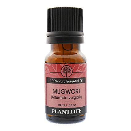 Mugwort 100% Pure Essential Oil - 10 ml