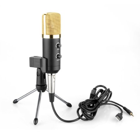 Floureon BM-100FX Studio Condenser Recording Microphone (Cardioid Pick-up Pattern) with USB Plug Stand   Anti-wind Foam Cap Black