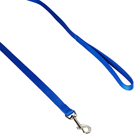 Dog Leash - Nylon - 4 Ft. Blue with a Width of 5/8 in.