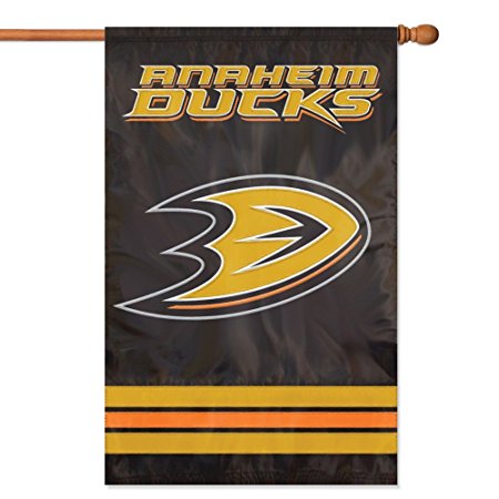 Party Animal Officially Licensed NHL Banner Flags