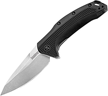 Kershaw Link Folding Pocket Knife (1776); 3.25 In. 420HC Stainless Steel Blade with Glass-Filled Nylon Handle, Reversible Pocketclip and SpeedSafe Assisted Opening; 4 oz., 7.6 In. Overall Length