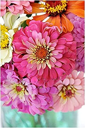 Pink Picasso Kits - Paint by Numbers Kits for Adults, 16x20 (Zealous Zinnias)