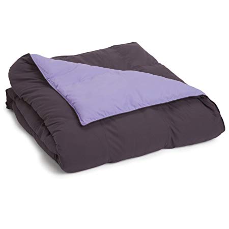 Superior Reversible Down Alternative Comforter, Medium Weight Bedding for All Season Use, Fluffy, Warm, Soft & Hypoallergenic - Full/Queen Size, Plum & Lilac