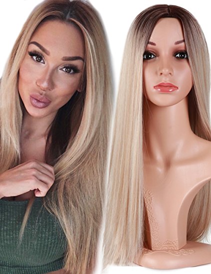 Fani Wigs Ombre Wig Brown to Ash Blonde Middle Part Long Straight Heat Resistant Synthetic Daily Party Wig for Women