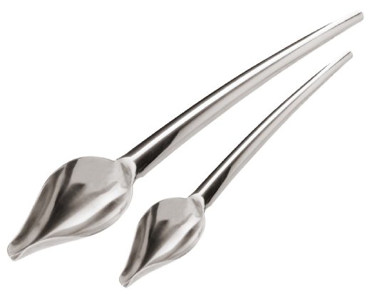 Paderno World Cuisine Stainless Steel Drawing Spoons Set of 2