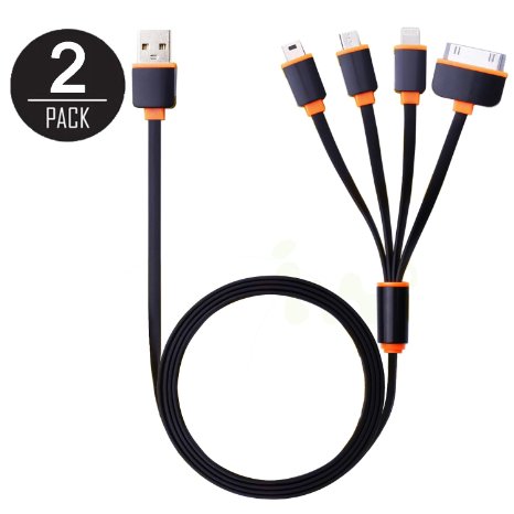 2 Pack USB Charging Cable 4 in 1 Multiple USB Charger Cable Adapter Connector with Lighting  30 Pin  Micro USB  Mini USB Ports for iPhone iPad Air Mini iPod touch Nano Galaxy and More