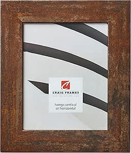 Craig Frames Bauhaus 200 Picture Frame, 18 x 24 Inch, Rust