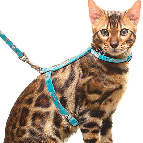 CHERPET Cat Harness and Leash with Breakaway Collar Set - Escape Proof Adjustable for Outdoor Walking, Safety Buckle Durable Blue Nylon Cute Personalized Printed Harnesses for Kittens Small Animals