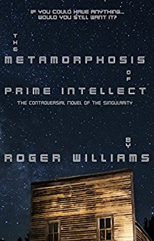 The Metamorphosis of Prime Intellect: a novel of the singularity