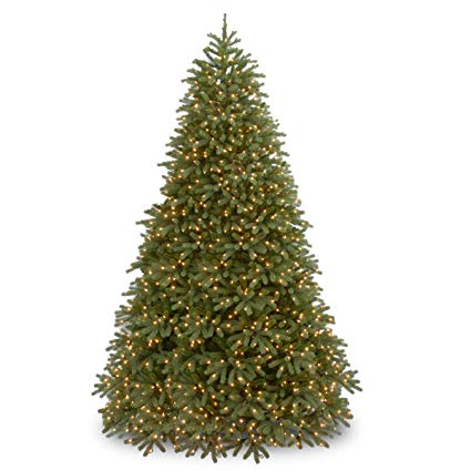 National Tree 9 Foot Jersey Fraser Fir Medium Tree