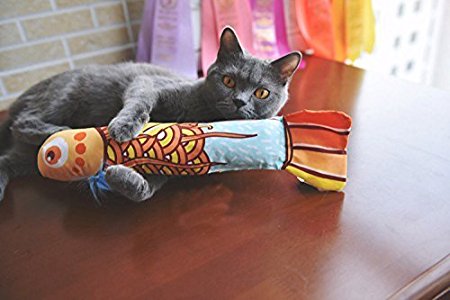 Catnip Cat Toys,MAMACHU Interactive Cat Toy Fish Cat Scratcher with Catnip for Indoor Kitten