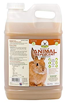 Bobbex-R Animal Repellent 2.5 Gallon Concentrated Spray