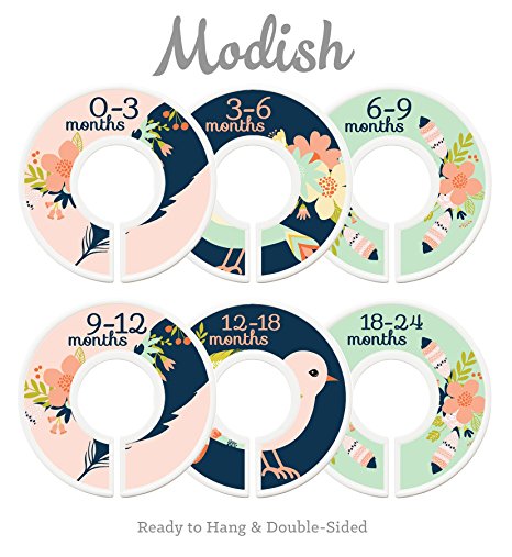 Modish Labels Baby Nursery Closet Dividers, Closet Organizers, Nursery Decor, Baby Girl, Birds, Flowers, Pink, Mint, Tribal