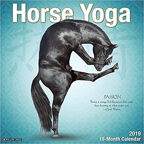 Horse Yoga 2019 Wall Calendar