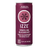 IZZE Fortified Sparkling Juice Blackberry 84-Ounce Cans Pack of 24