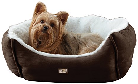 Animal Planet Micro Suede Pet Bed, Brown