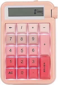 EPOMAKER Cypher 21 Wireless Mechanical Number Pad, 18 Keys Numeric Keypad with Multifunction Knob, Single White Light, NKRO (Pink, Wisteria Linear Switch)