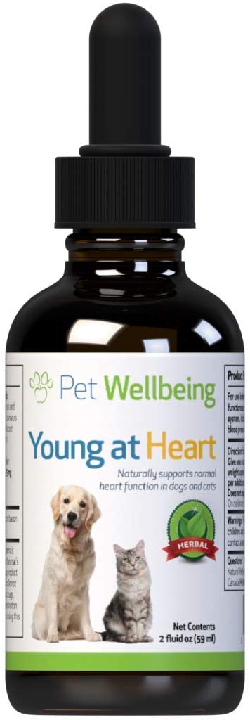 Pet Wellbeing Young at Heart for Dogs - Natural Support for Your Dogs Heart (2oz (59ml))