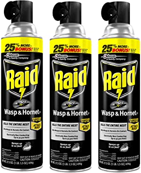 Raid Wasp and Hornet Killer, 17.5-Ounce (Pack - 3)