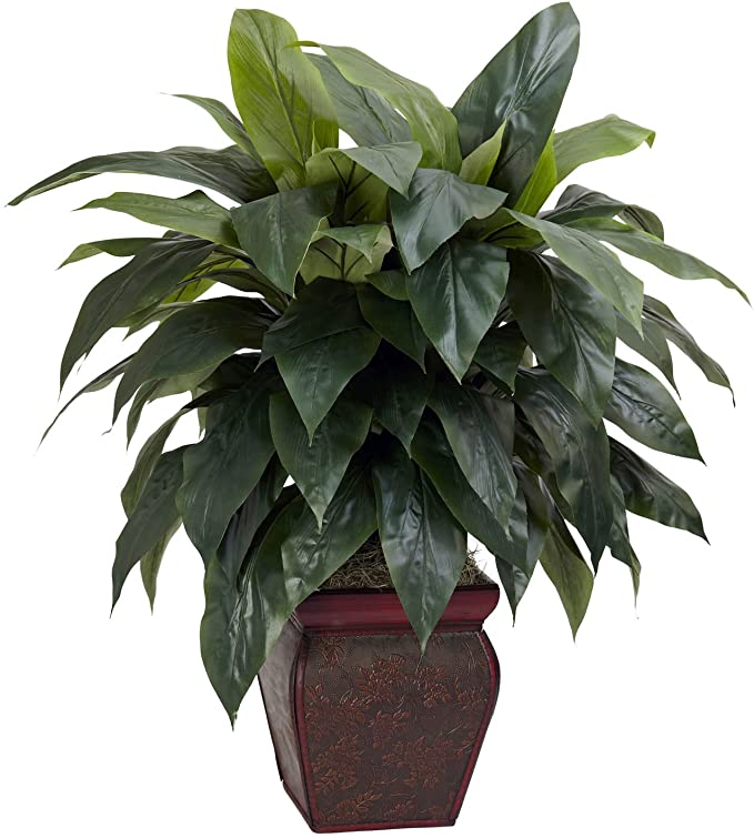 Nearly Natural 6688 Cordyline with Vase Decorative Silk Plant, Green