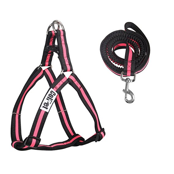 Dog Leash Harness- ColPet Adjustable and Heavy Duty Durable Neoprene Dog Leash Collar with Dog Leash for Training Walking Running, Best for Small Medium Large Dog, Pink/Red