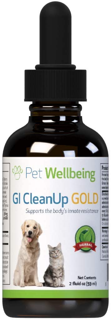 Pet Wellbeing - GI CleanUp Gold for Dogs - Natural GI Support in Canines - 2oz (59ml) l