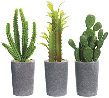 Set of 3 Artificial Potted Cacti - 8 inches high
