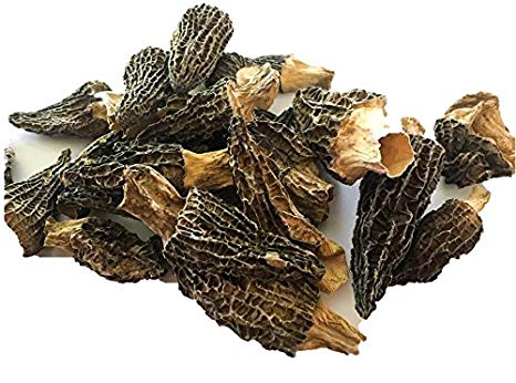 Dried Morel Mushrooms by Slofoodgroup (Morchella Conica) Gourmet Morel Mushrooms Various Sizes of Morels Available (1oz)