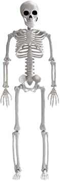 DOITOOL Halloween Skeletons Decorations Full Body Skeleton Model Plastic Skeleton Figures for Halloween Decoration, Haunted House Graveyard Scene Decorations