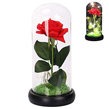 LANGXUN Red Silk Rose and LED Light That Lasts Forever in Glass Dome Inspired and The Wooden Black Base Covered with Real Moss for Home Decor Wedding Decorations and Gifts for Women