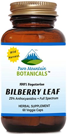 Bilberry Capsules. Full Spectrum Wild Harvest Bilberry Leaf & Concentrated Extract. 60 Veggie Kosher Caps