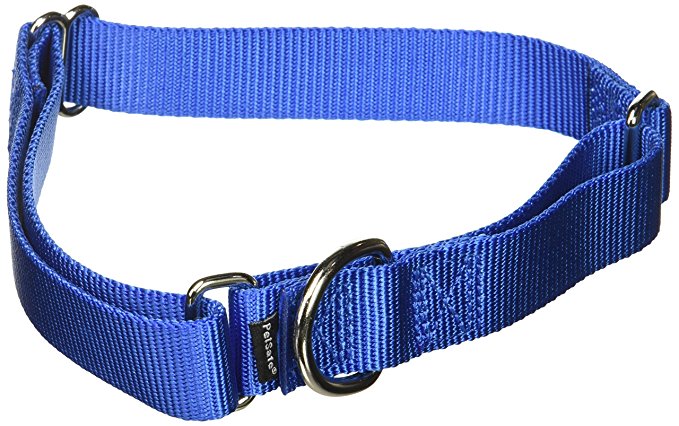 PetSafe Petite Martingale Collar