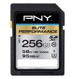 PNY Elite Performance 256 GB High Speed SDXC Class 10 UHS-I U3 up to 95 MBSec Flash Card P-SDX256U395-GE