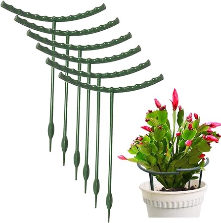 10 Pack Plant Support Plant Stakes, Metal Half Round Plant Support Ring Plastic Plant Cage Holder Flower Pot Climbing Trellis for Small Plant Flower Vegetable,Indoor Leafy Plants(5.7 x 5.9inch)