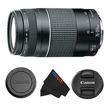 Canon EF 75-300mm f/4-5.6 III Telephoto Zoom Lens Canon SLR Import & USA Cameras