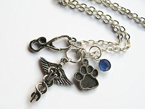 Veterinarian Necklace, Veterinary Doctor Jewelry, Caduceus Personalized Birthstone Necklace, Vet Tech, FREE USA SHIPPING