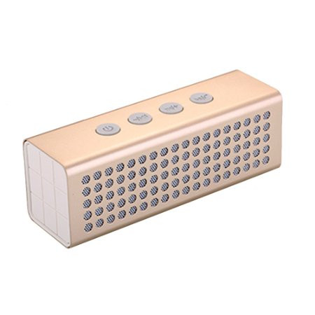 PYRUS Portable Bluetooth Speakers 2 x 10W Output 3D Surround Speakers Bulit-in 4400mAh Power Bank and Microphone for Handsfree Calling Wireless Speaker-Golden