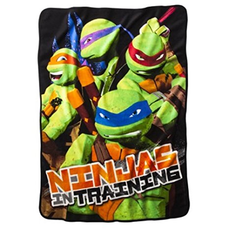 Teenage Mutant Ninja Turtles Micro Raschel Throw Blanket
