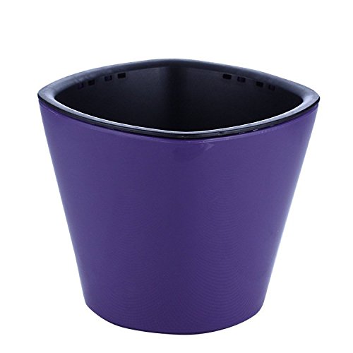 Gift Pro Automatic Watering System Self Watering Planters Pots Containers Probes for Decoration of Home Office Desk Garden Flower Shop (Purple)