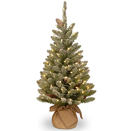 National Tree 3 Foot Concolor Fir Tree with Snowy Cones and 50 Battery Operated Warm White LED Lights (SR1-328-30-B1)