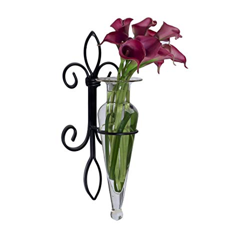 Danya B. A043-C Home Accent - Wall Mount Fleur de Lis Flower Vase Sconce - Iron and Clear Glass