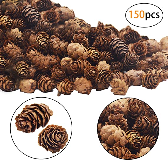Deloky 150 PCS Christmas Natural Mini Pine Cones- 3CM Thanksgiving Pinecones Ornaments Vase Fillers for DIY Crafts, Home Decorations,Fall and Christmas,Wedding Decor