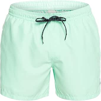 Quiksilver Everyday 15" - Short de Natación para Hombre