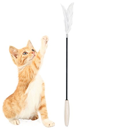 Pidan Studio Cat Feather Teaser Wand - Interactive Fun 100% Cat Kitten Friendly Superior Quality Premium Goose Feather