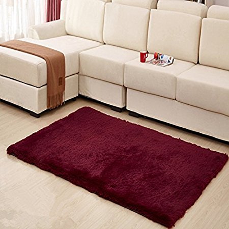 Hughapy Home Decorator Modern Shag Area Rugs Super Soft Solid Living Room Carpet Bedroom Rug and Carpets,80 120cm (Purplish red)