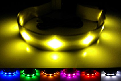 GoDoggie-GLOW Reflective LED Dog Safety Collar, Improved Dog Visibility and Safety, USB Rechargeable, 7 Colors and 5 Sizes, Super-Bright LED's, The Brightest and Safest, Full Guarantee