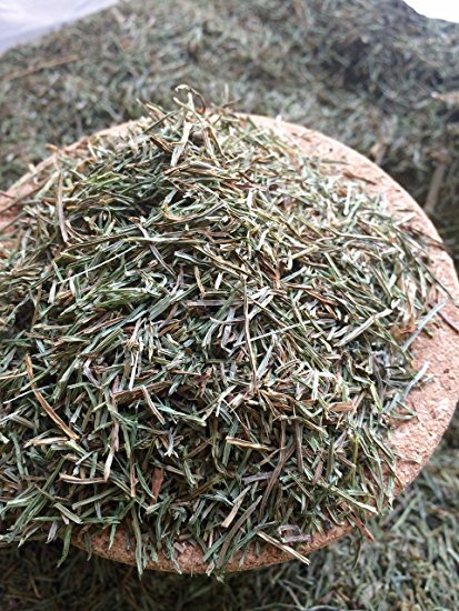 Organic Bio Herbs-Organic Dried Horsetail (Equisetum) 2 Oz.