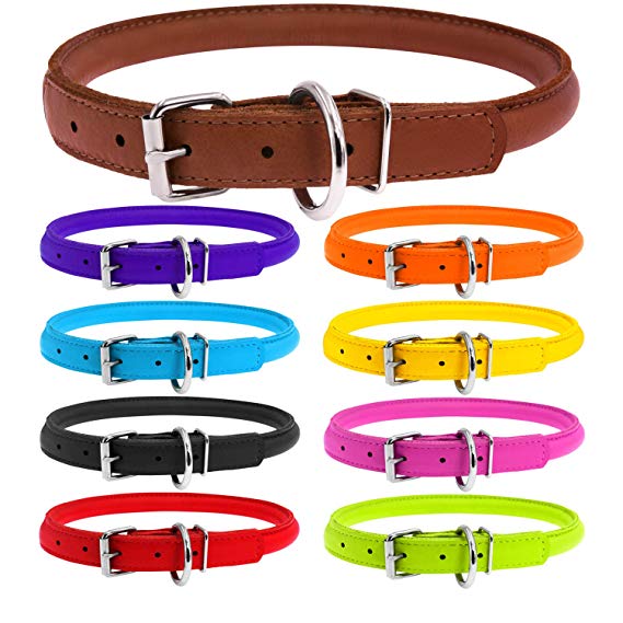 WAUDOG Rolled Leather Dog Collar for Small Dogs - Small Collar - Rolled Small Dog Collars for Boys & Girl Dog Collars for Small Dogs - Small Dog Collar Plus