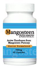 4 Bottles Mangosteen 500 mg, 60 Capsules, Active Xanthones, Antioxidant - Endorsed by Ray Sahelian, M.D