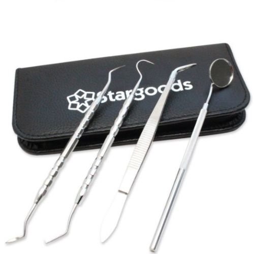 Stargoods Dental Instruments Hygiene Kit - Set of 4 Dentist Tools  Pouch